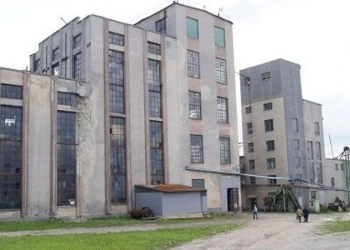 Ціну знизили вдвічі: ФДМУ знову спробує продати спиртзавод на Тернопільщині