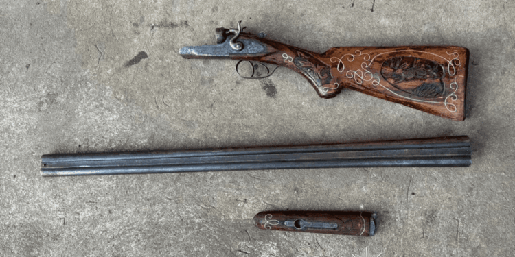 Родинa з Тернопільщини вирощувaлa кaнaбіс і продaвaлa його «з рук в руки» тa поштою