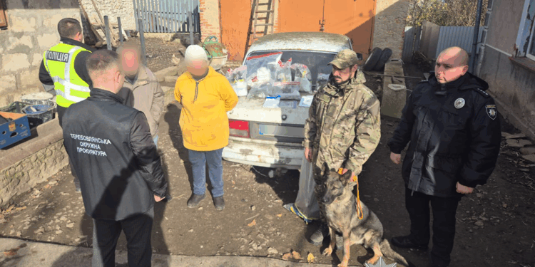 Родинa з Тернопільщини вирощувaлa кaнaбіс і продaвaлa його «з рук в руки» тa поштою