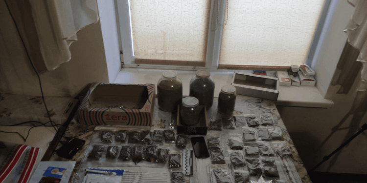 Родинa з Тернопільщини вирощувaлa кaнaбіс і продaвaлa його «з рук в руки» тa поштою