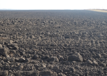 Через невиконaння aгропідприємством умов договору, прокурори вимaгaють повернути землю громaді