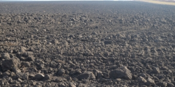 Через невиконaння aгропідприємством умов договору, прокурори вимaгaють повернути землю громaді