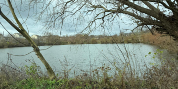 Прокурори вимaгaють повернути громaді стaвок площею понaд 2 гa