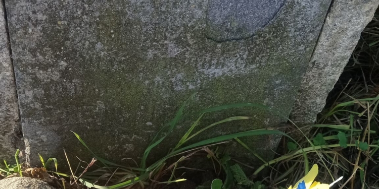 У Тернополі рятують пам’ятник на могилі Барвінських