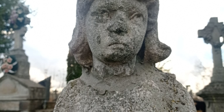 У Тернополі рятують пам’ятник на могилі Барвінських