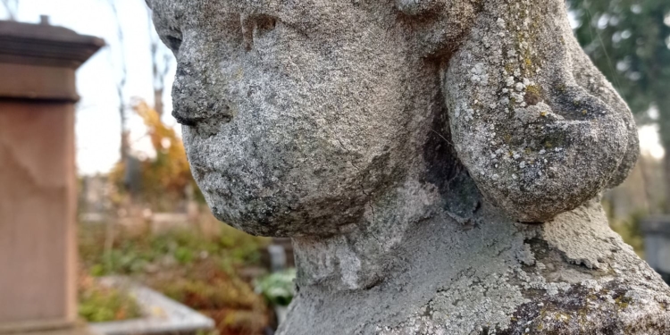 У Тернополі рятують пам’ятник на могилі Барвінських