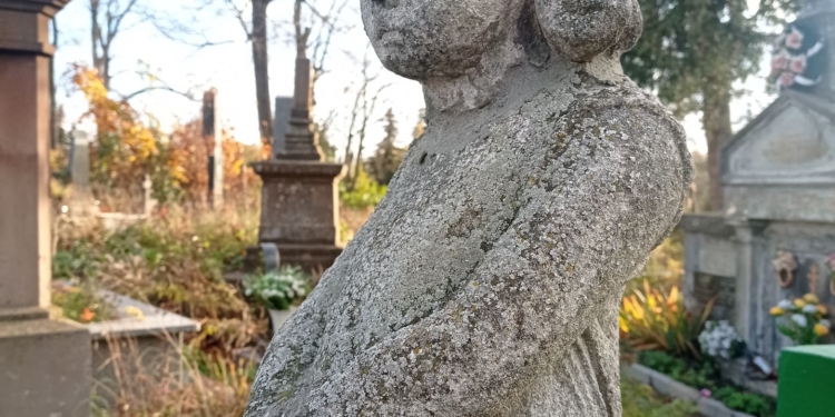 У Тернополі рятують пам’ятник на могилі Барвінських