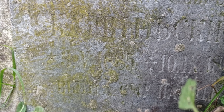 У Тернополі рятують пам’ятник на могилі Барвінських