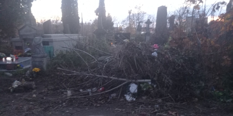 У Тернополі рятують пам’ятник на могилі Барвінських