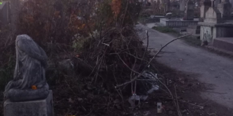 У Тернополі рятують пам’ятник на могилі Барвінських