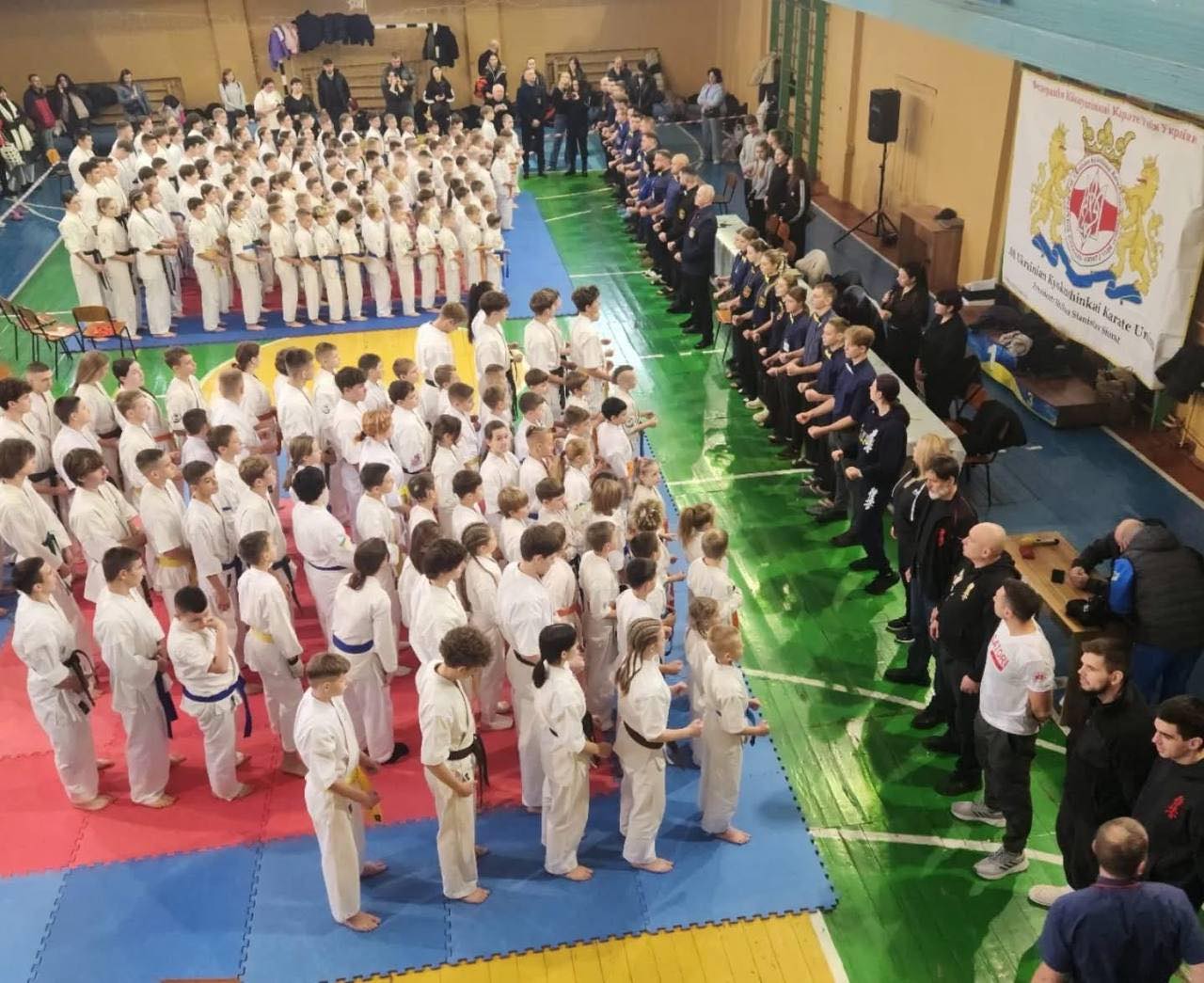 Кйокушінкаі карате Унія