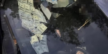 влаштування військовозобов’язаного на навчання