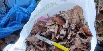 Оксана Ригайло