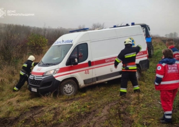 надавали допомогу працівникам швидкої медичної допомоги