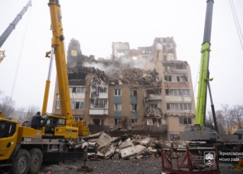 попередні висновки експертів