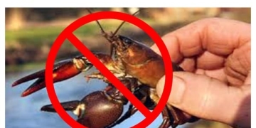 заборона на лов річкових раків