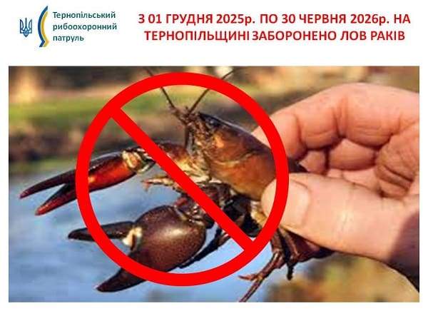 У Тернопільській області діятиме заборона на лов раків