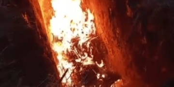 На Тернопільщині виявили вірус африканської чуми свиней