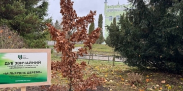 На Тернопільщині висадили мільярдне дерево програми «Зелена країна»