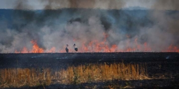 Житель Тернопільщини оштрафований на 3 тис. грн за спалювання стерні