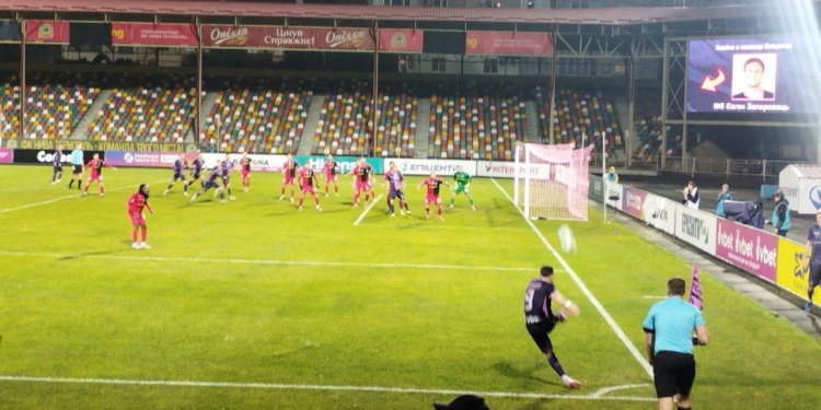 У Тернополі патрульні врятували пораненого бобра