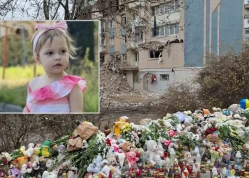 зросла до 38