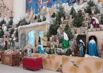 встановили найбільшу в Україні шопку