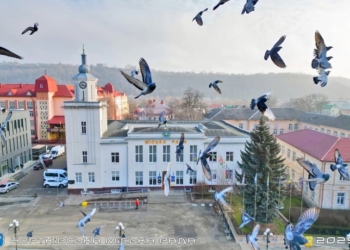 483 тисячі гривень на підтримку