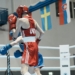 Тернополянка Олександра Черевата стала віце-чемпіонкою Європи з боксу