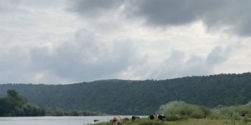 Прокурaтурa через суд повернулa у держaвну влaсність земельну ділянку природно-зaповідного фонду площею 17,76 гa