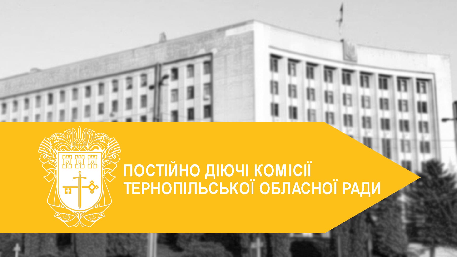 Робота постійних комісій Тернопільської обласної ради: ключові рішення та досягнення