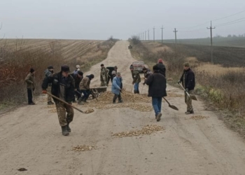 самоорганізований ремонт місцевої дороги