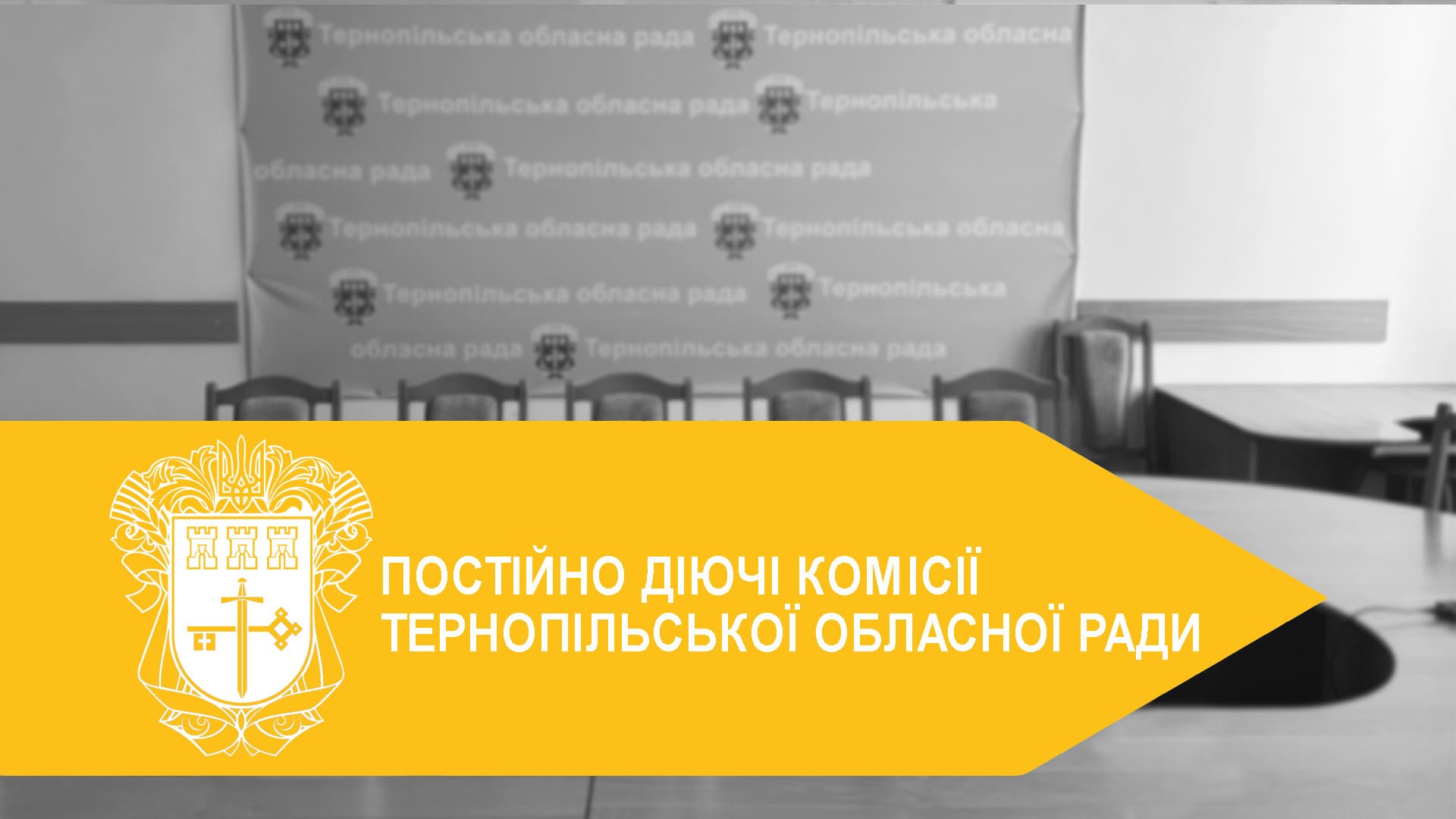 Постійні комісії Тернопільської обласної ради: ефективні рішення для підтримки громад та розвитку регіону