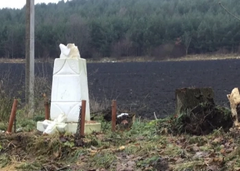 На Бережанщині дерево зруйнувало святиню