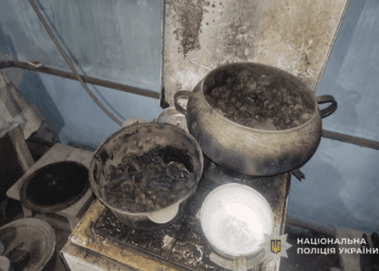 отруїлися чадним газом під час приготування їжі