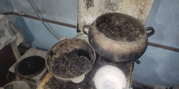 отруїлися чадним газом під час приготування їжі