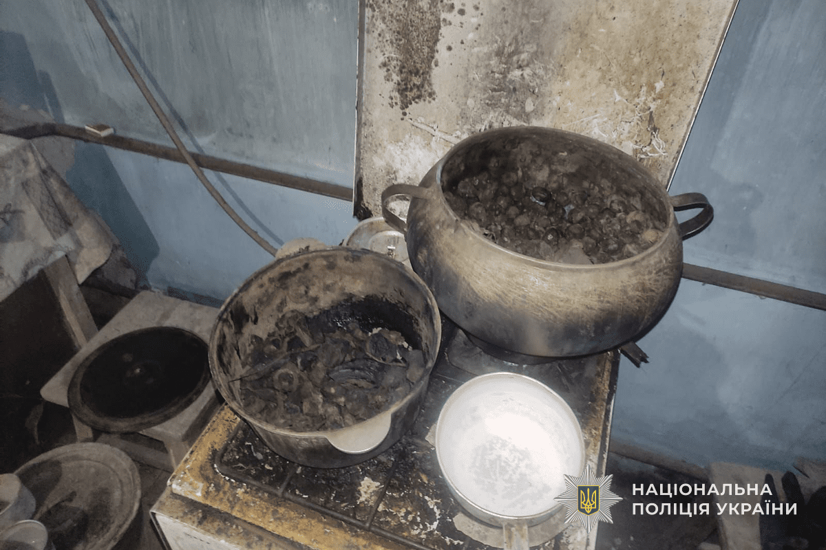 отруїлися чадним газом під час приготування їжі