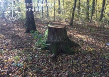 Прокурори у суді вимагають від міської ради відшкодувати понад 1 млн 800 тис грн