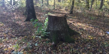 Прокурори у суді вимагають від міської ради відшкодувати понад 1 млн 800 тис грн