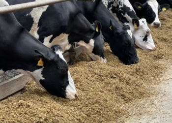 Тваринництво Тернопільщини