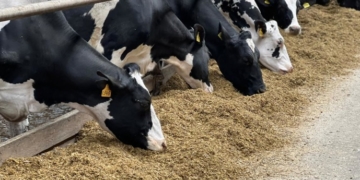 Тваринництво Тернопільщини