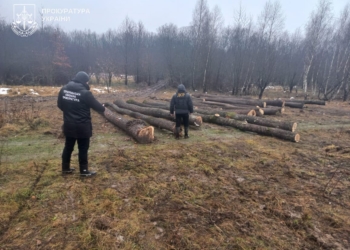 фальшиві дані