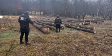 фальшиві дані