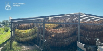 нелегальне виробництво