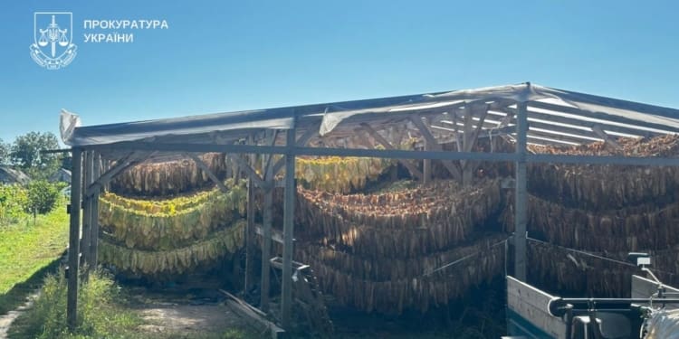 нелегальне виробництво