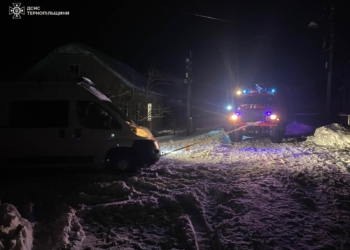 рятувальники допомогли