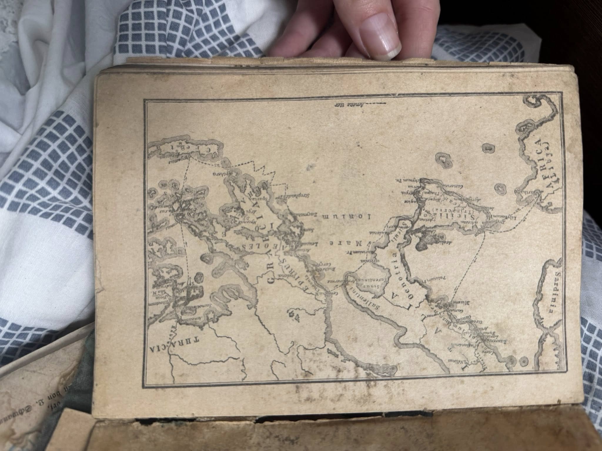 Нові надходження