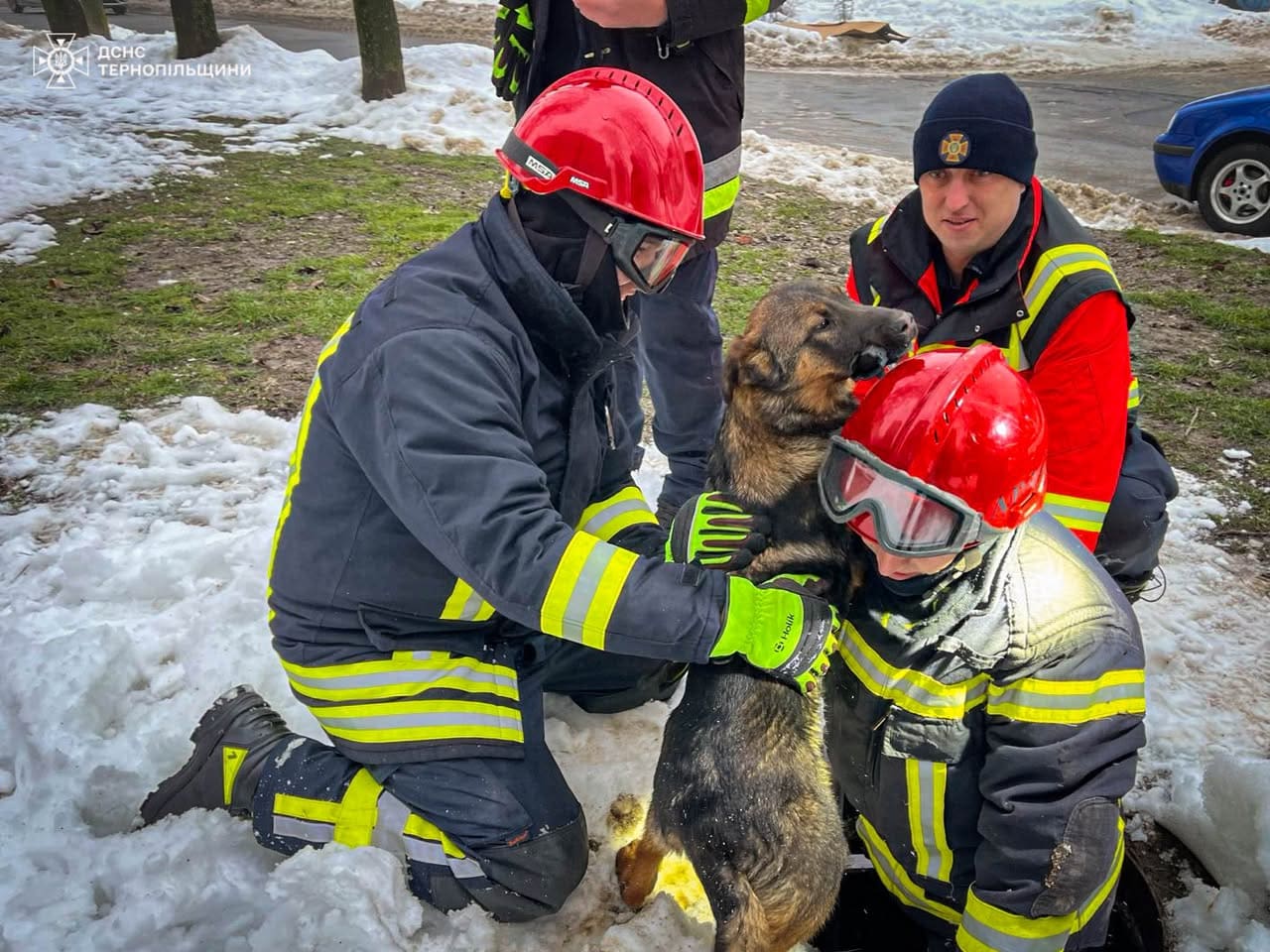 рятувальники