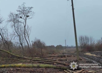 оголосили підозру