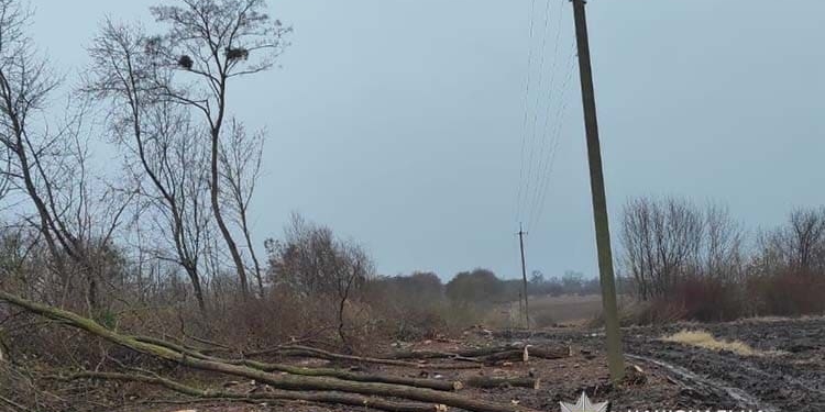 оголосили підозру
